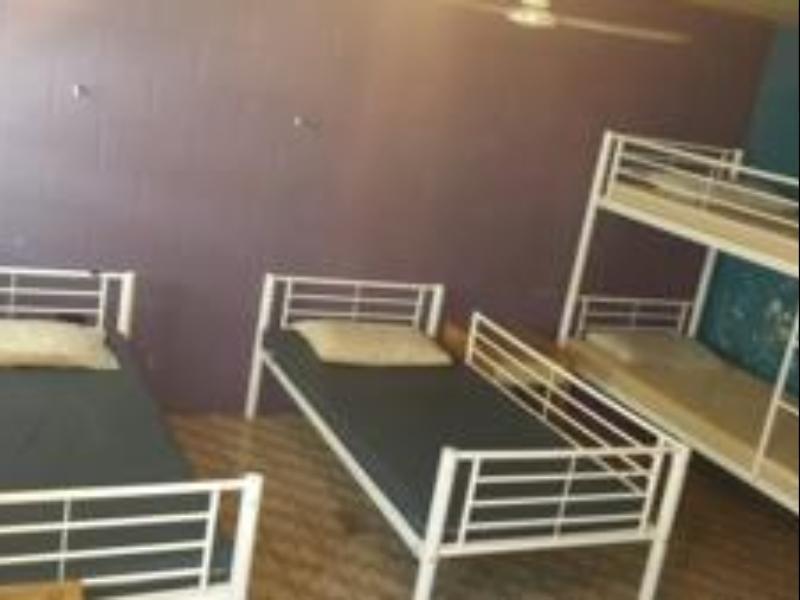 Asylum Share House Hostel *