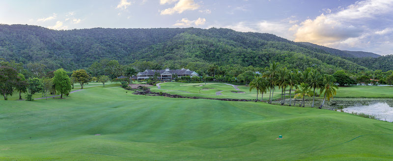 Paradise Palms