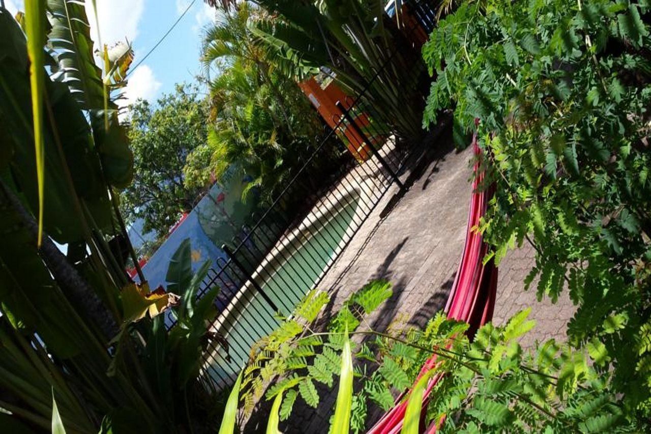 Jjs Backpackers Hostel *