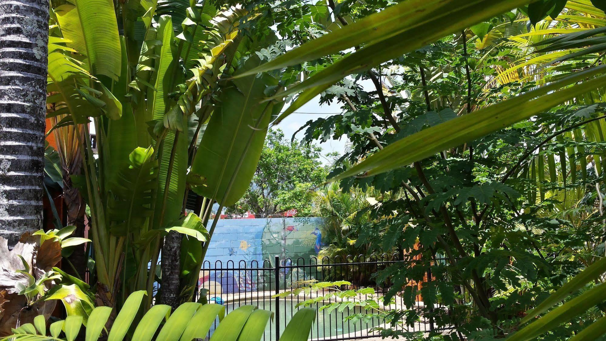 Jjs Backpackers Hostel