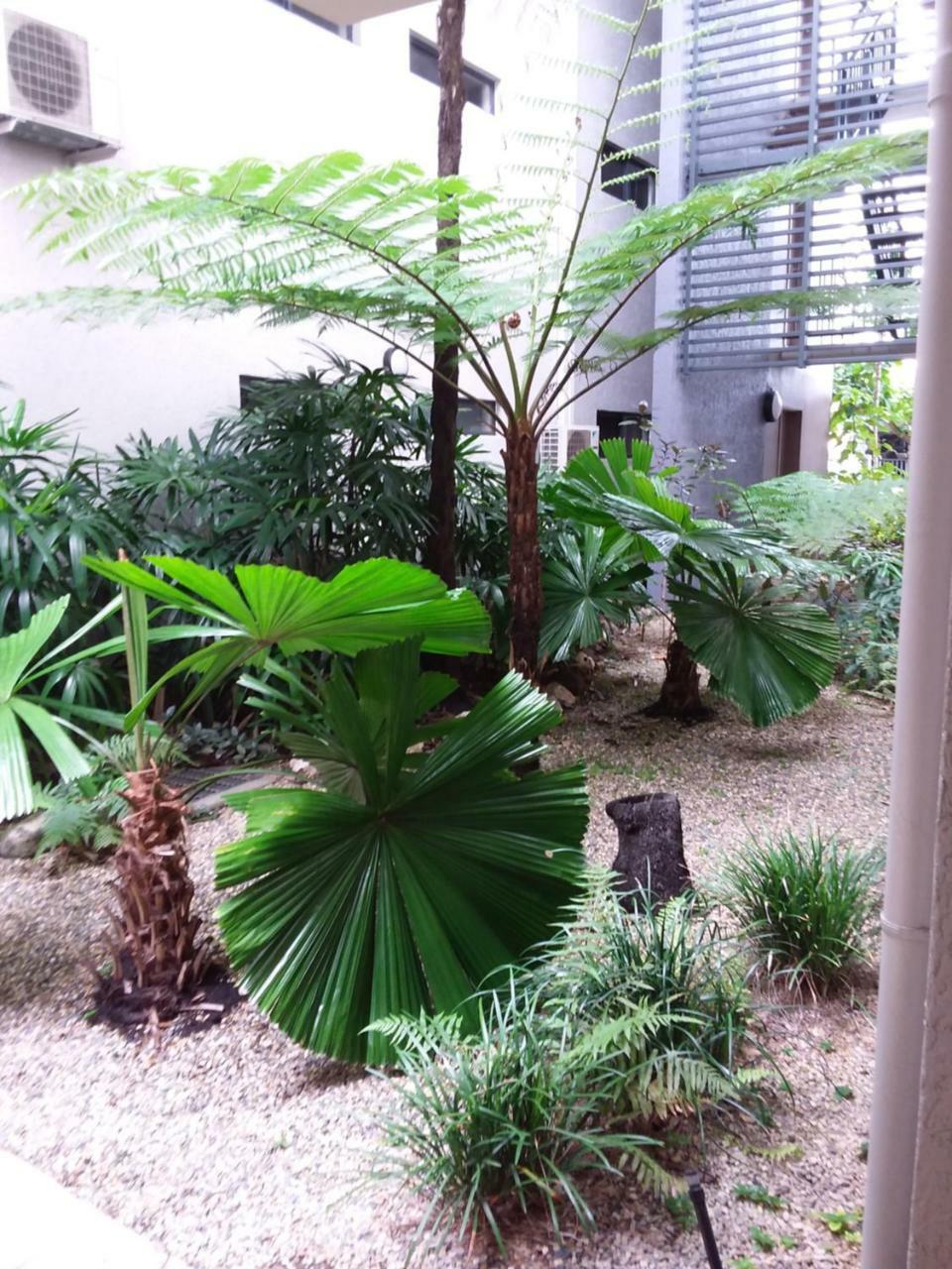 Apartment Jackies Cairns