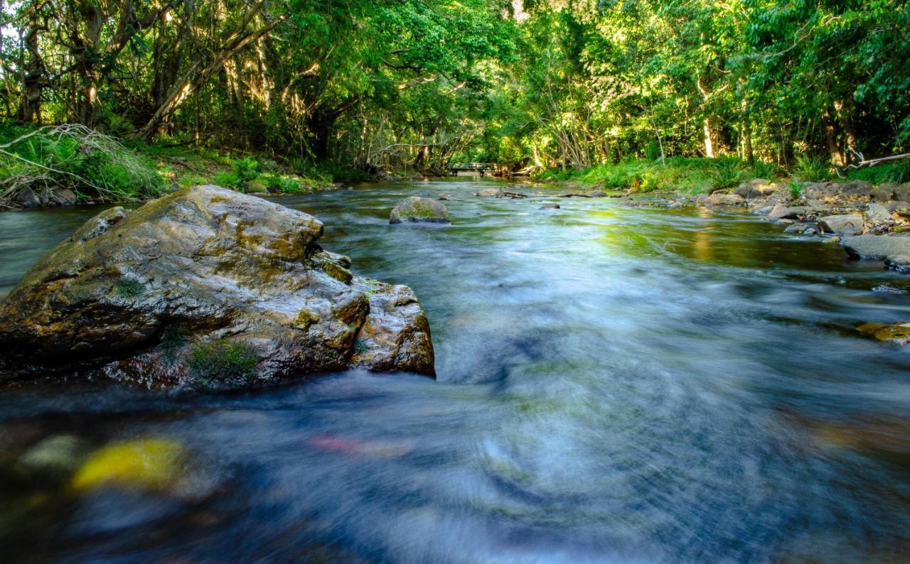 Homestead Redlynch Pet And Family Friendly Acomodação com café da manhã  5*