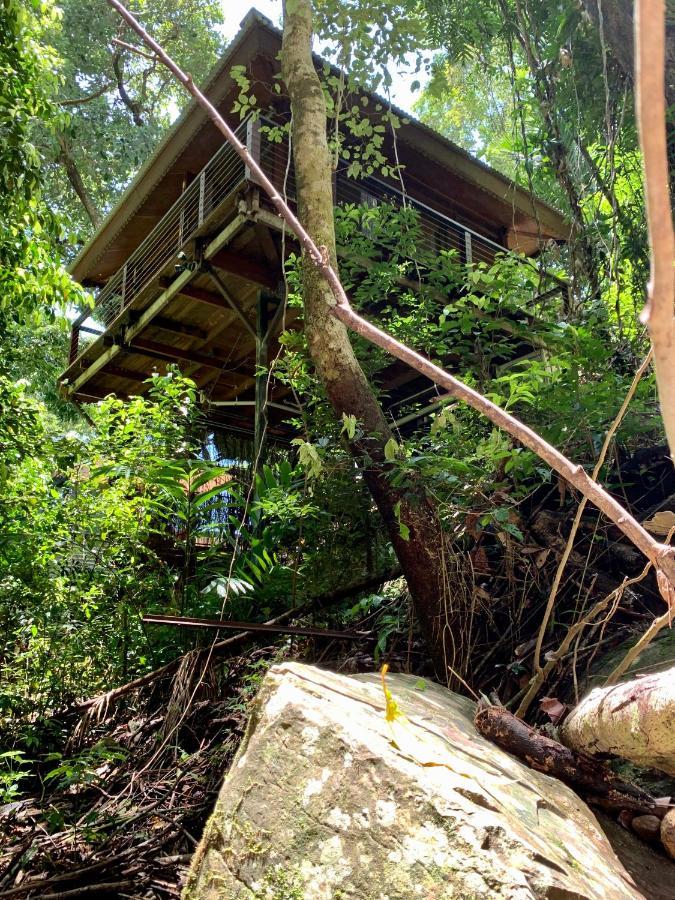 Khu nghỉ mát Rainforest Retreat *